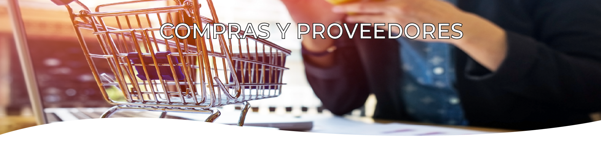 Taller de compras y proveedores